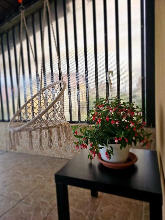 Pensiunea Four Seasons Curtea de Argeş Extérieur photo